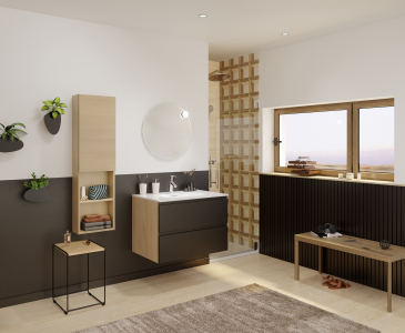 Salle de bains Delpha Intuitive capture noir mat 